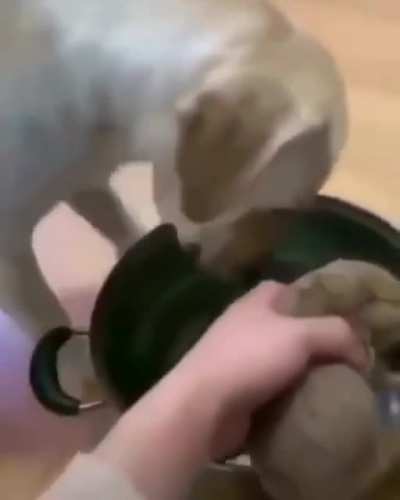 :(