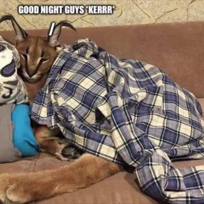 Say goodnight to greg guys [OC]