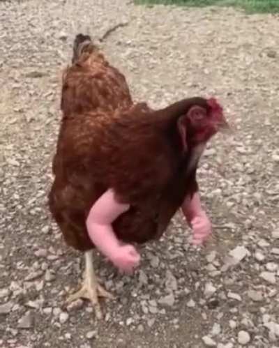 Rare Footage of Jacket before entering a Russian trap house