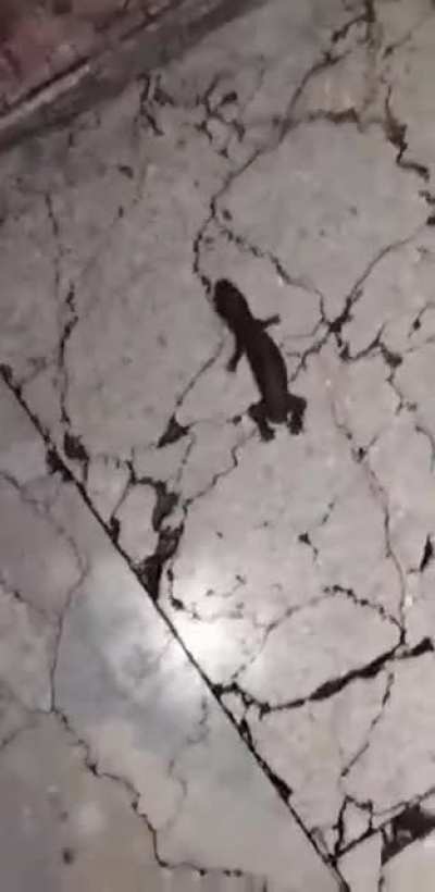 Thought he was dead