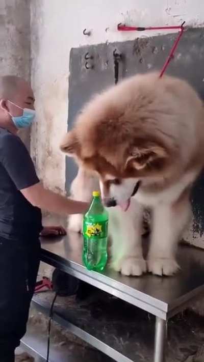 A unit of fluff