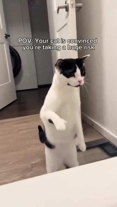 Bewilderment wunk