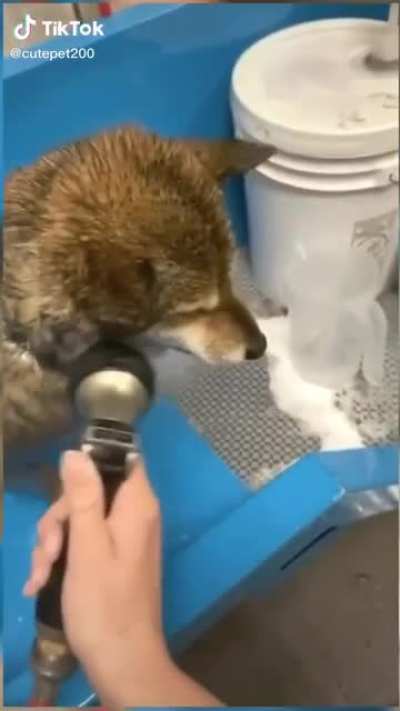 Bath time