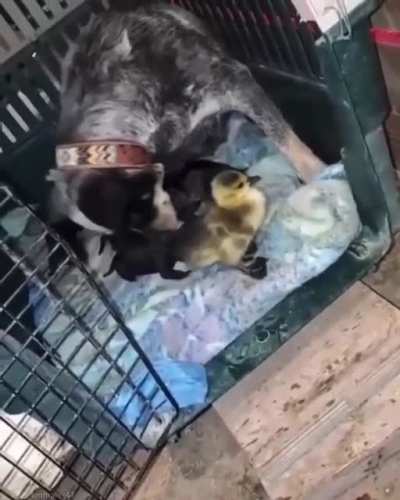 Эй, эй...я не тут живу!