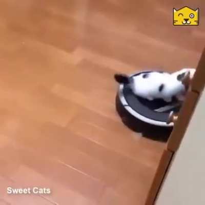 Awwnn