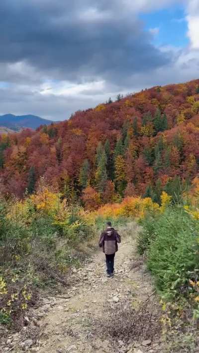 🔥 Autumn in Romania’s Carpathian mountains [OC]