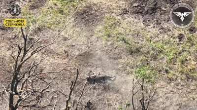 Russian soldier playing dead takes a direct hit from an FPV drone. Video by the Strike Drone Company (47 OMBr)