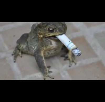 🚬