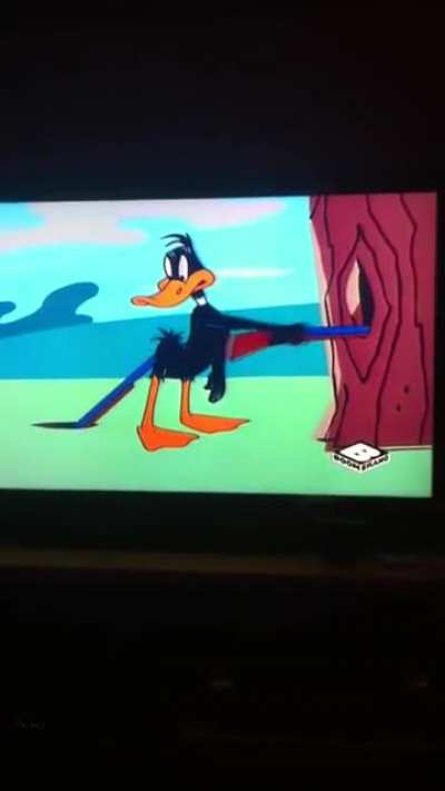 Patolino ?