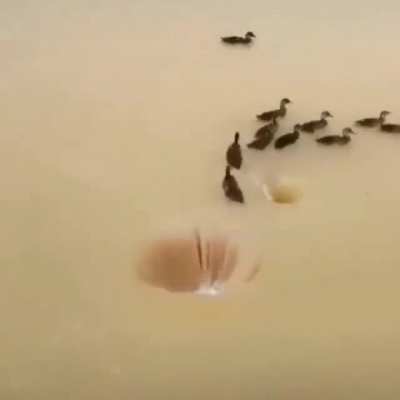 my hole people need me