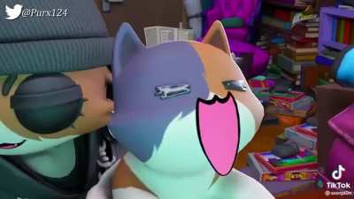 Furry🐱irl