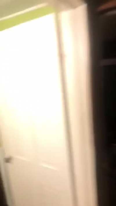 When a snake comes to visit..