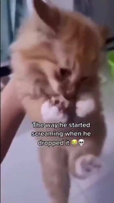 Mëěêēow!