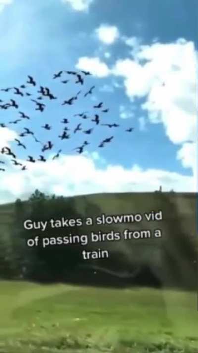 Nature is beautiful