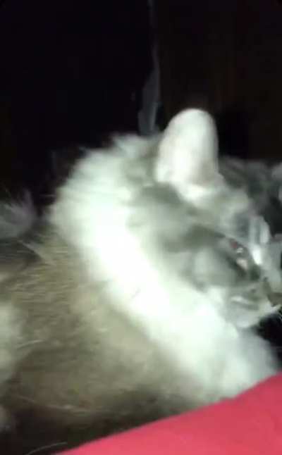 Face grab