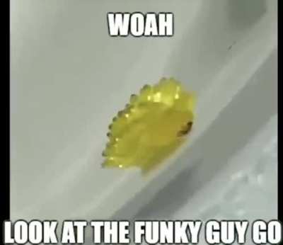 look at him!!!