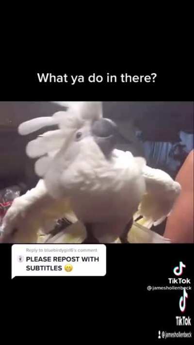 How dare you