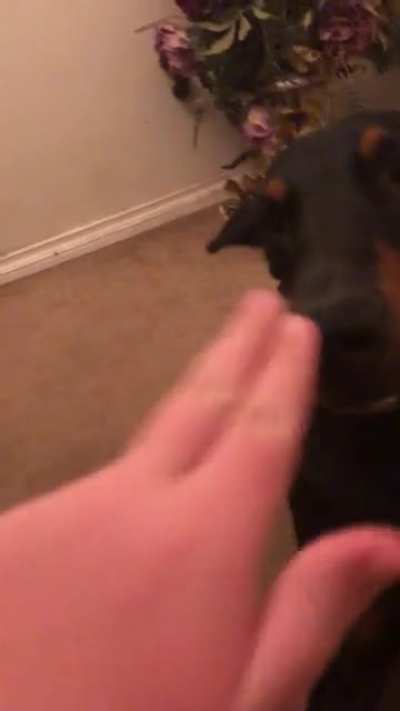 He don’t like the boops