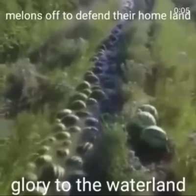Rule