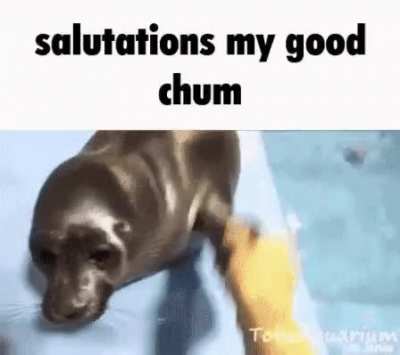 Salutations!