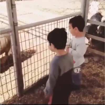 I wanna be a goat