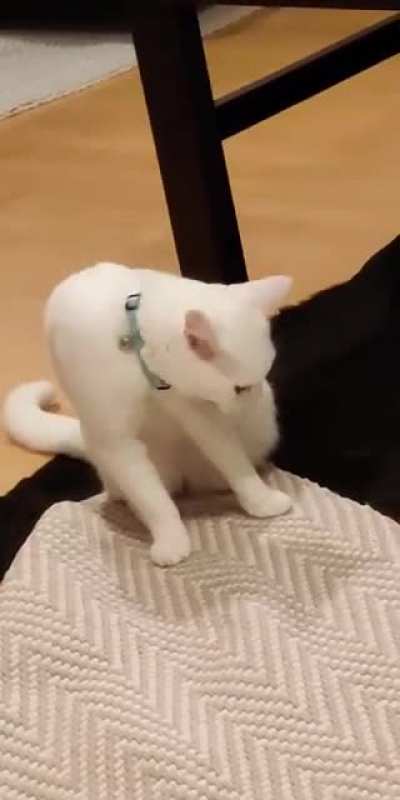 I never know what he's thinking