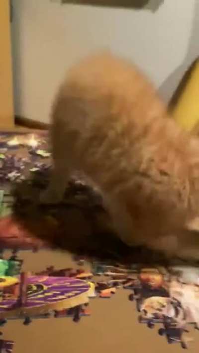 Little helper
