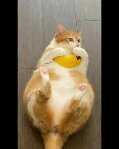 Wait for it