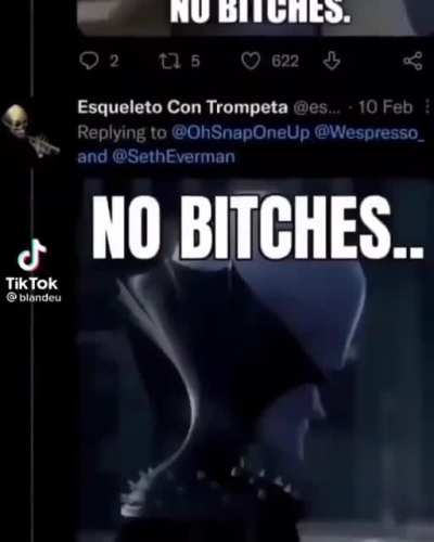 bitches