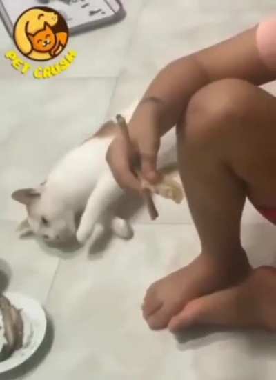 Goodbye, little hooman...