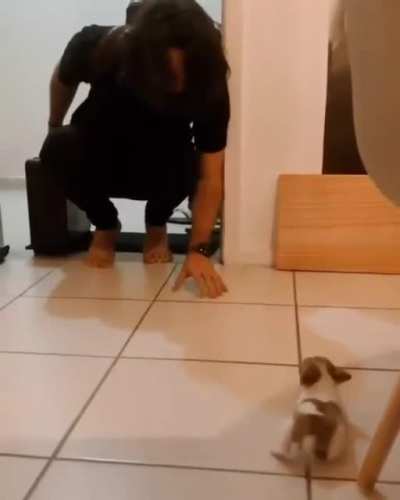 Too tiny!!!
