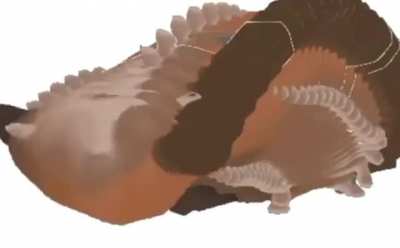 Platypus