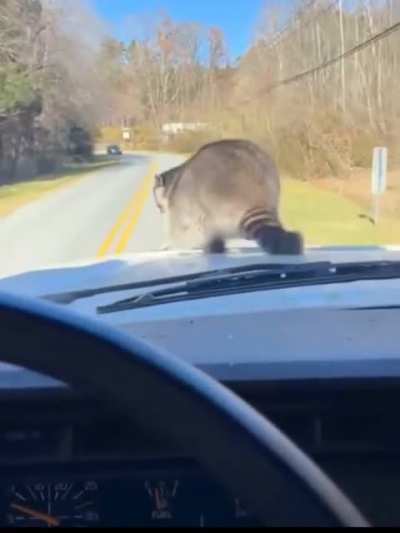 What you doing Coon