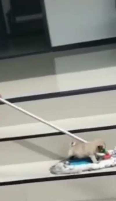 ^smol