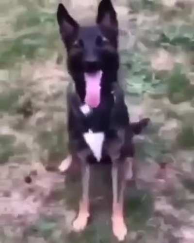 gus
