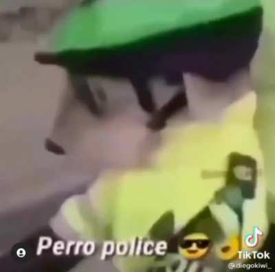 😎👌