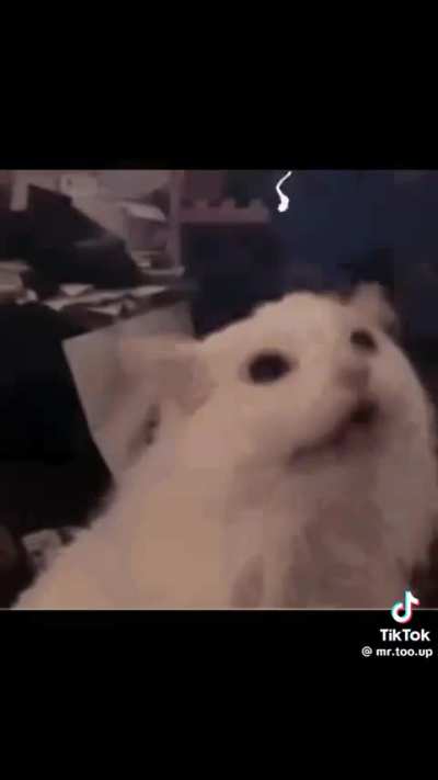 I think I’m gonna come! Says the lightning 