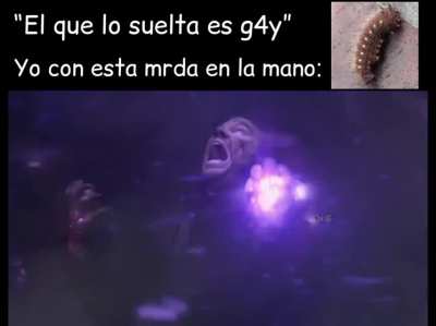 Yo
