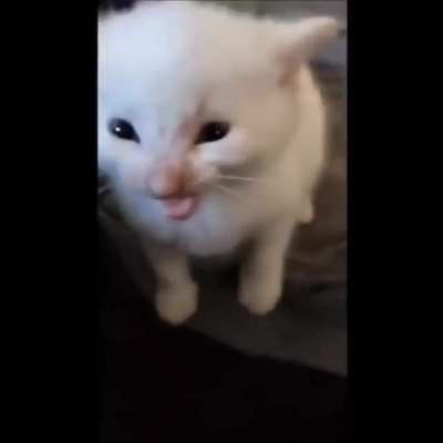 Hi Herbet