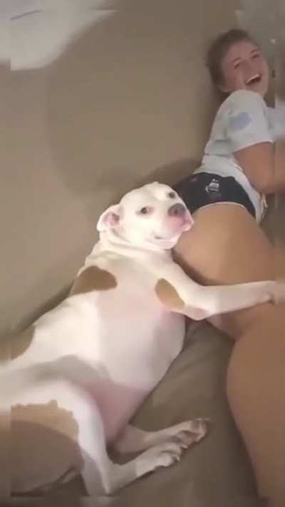 Whatcha Lookin At?
