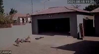 HMFT after justice is served