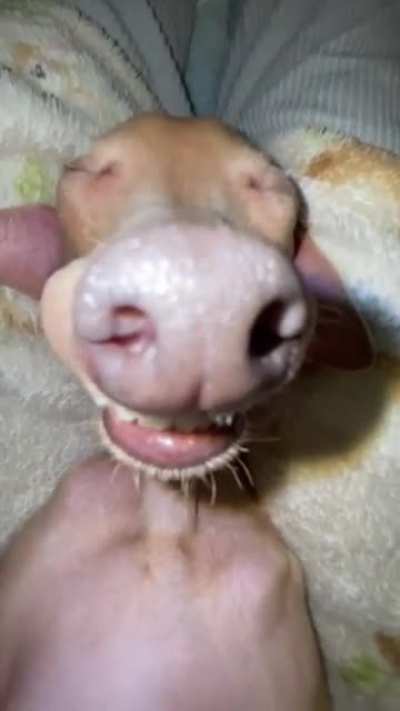 boa noite fml galera rapaziada durma