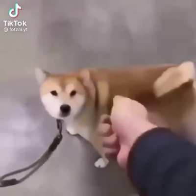 Don’t forget to lock ur dog when u leave