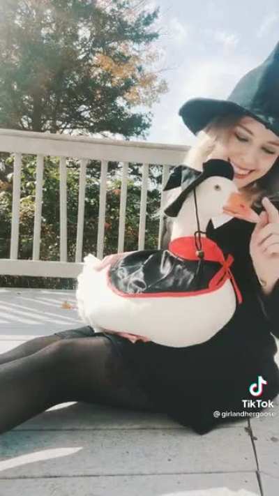 Halloween goose