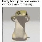 cha cha real smooth