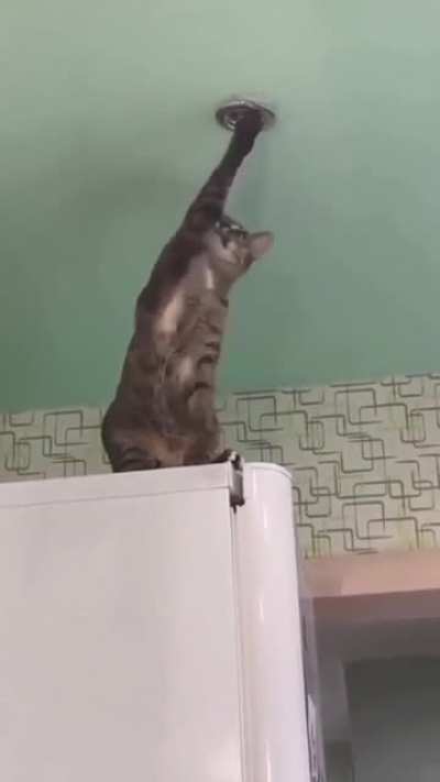HELP!