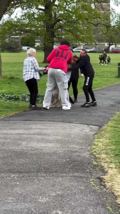 Dog attack freakout