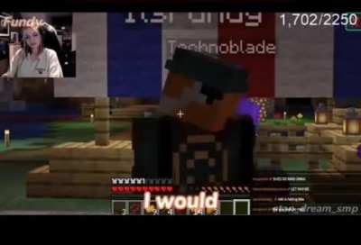 Got all the fans of the Dream SMP (not just Minecraft and minor jump-scares)