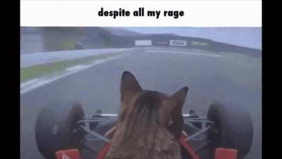 Reddit le bad