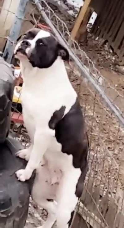 Look at her go
